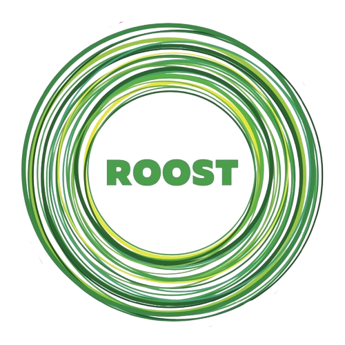 ?php echo get_bloginfo( 'name' ); ?>